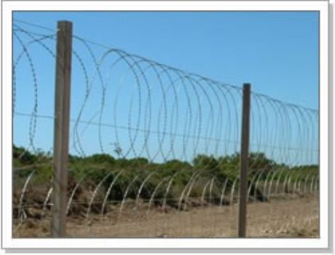 Razor Wire